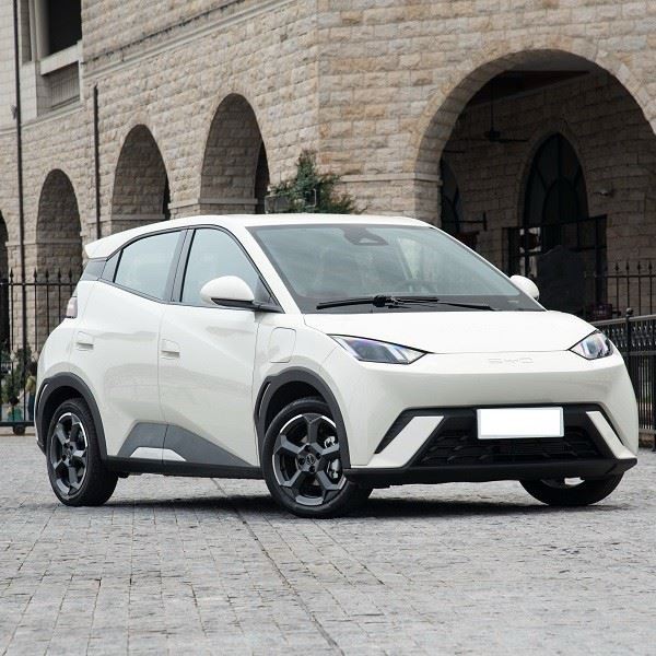 Byd Seagull Electric Flying Edition New