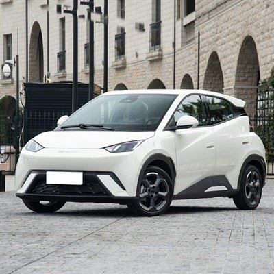 บีวายดี ซีกัลล์ อีวี